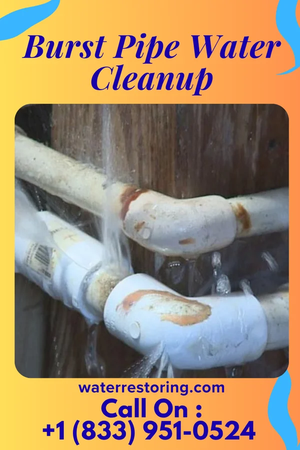 Burst Pipe Water Cleanup in Owensville, OH