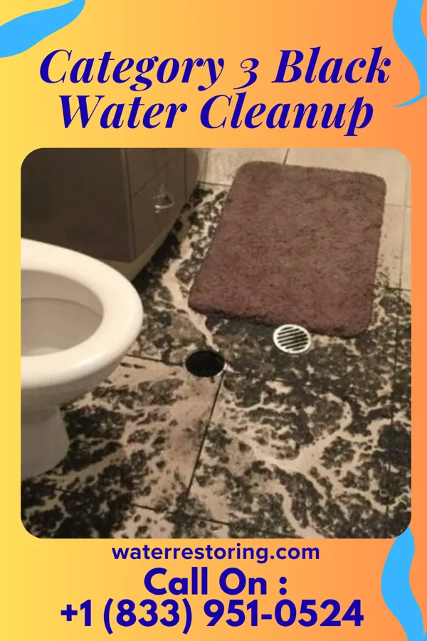 Category 3 Black Water Cleanup in Owensville, OH