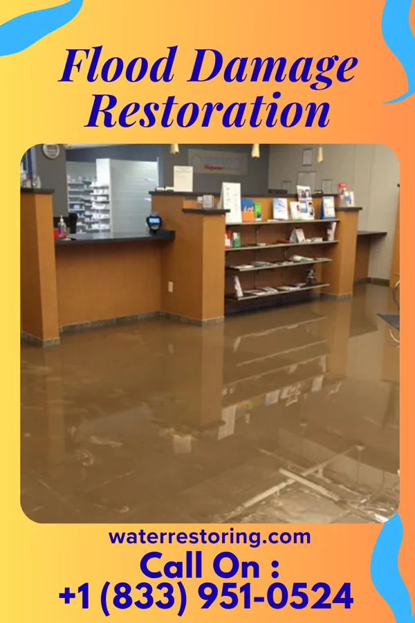 Flood Damage Restoration in Owensville, OH