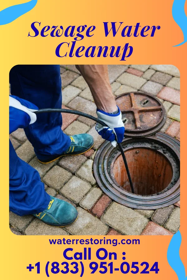 Sewage Water Cleanup in Owensville, OH