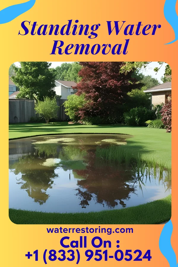 Standing Water Removal in Owensville, OH